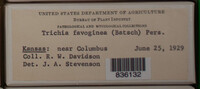 Image Associated With the Occurence